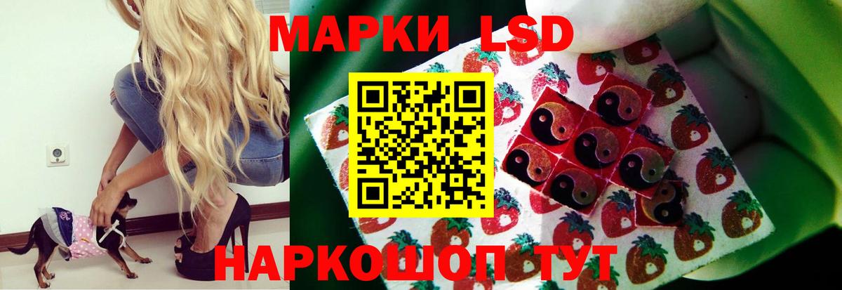 LSD-25 экстази ecstasy  Вход с VPN  Губаха 