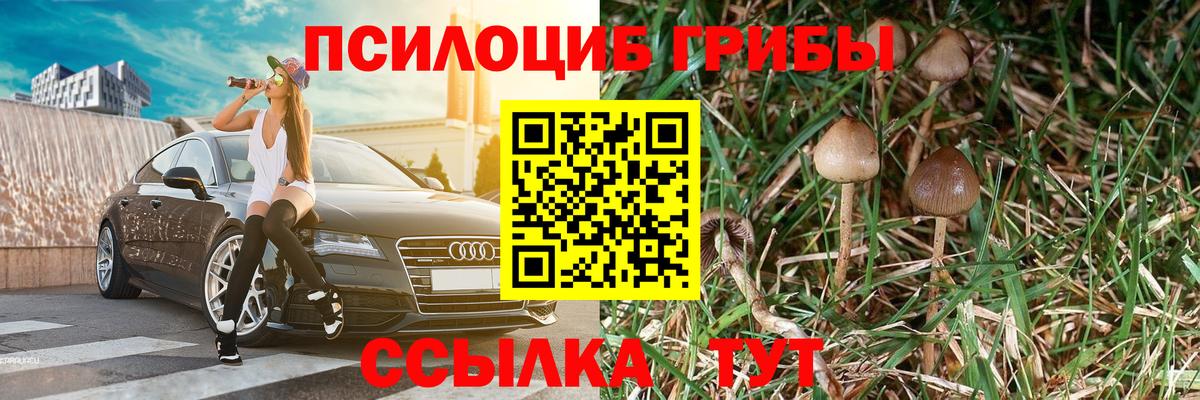 купить наркоту  Вход с VPN  Галлюциногенные грибы Psilocybe  Губаха  Псилоцибиновые грибы ЛСД 